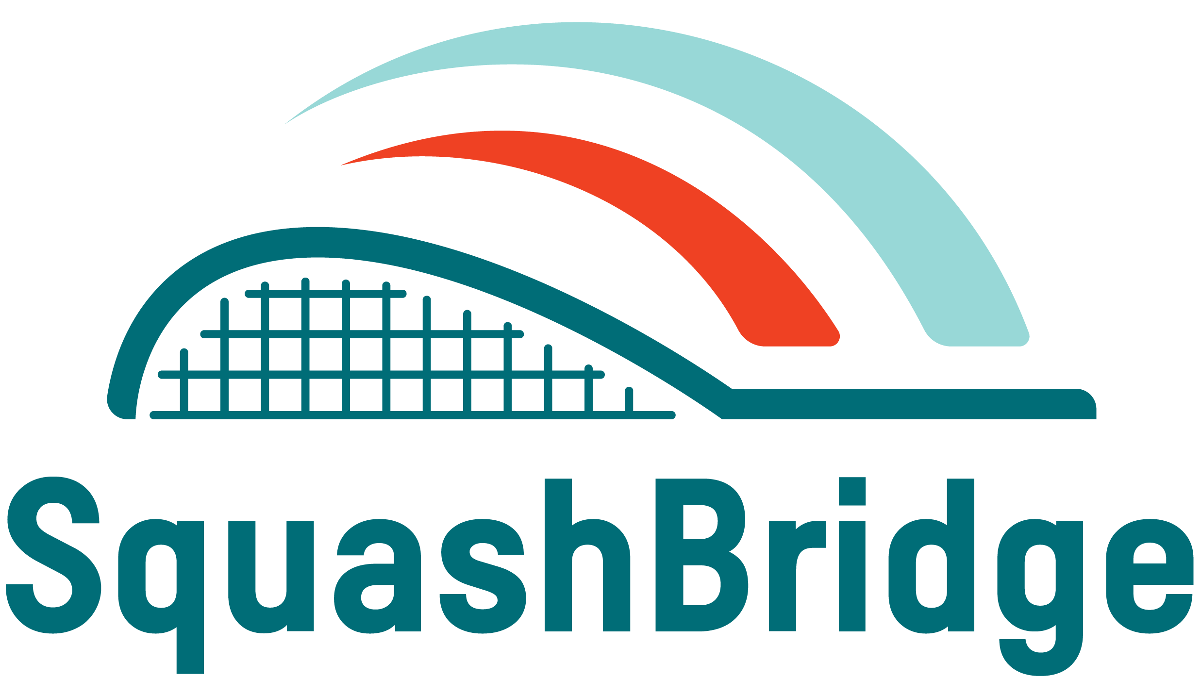 SQUASHBRIDGE Biller Logo